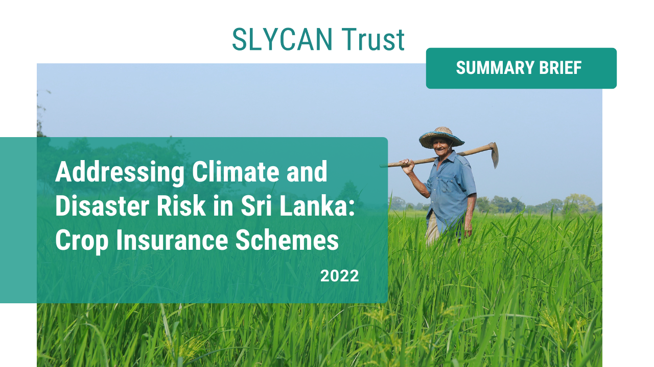 Addressing Climate and Disaster Risk in Sri Lanka Crop Insurance